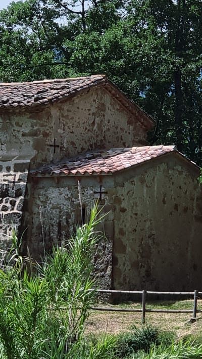 The image shows a section of an old stone building with a tiled roof, possibly a chapel or church, set against a backdrop of lush green trees. The building's walls are weathered, with patches of exposed stone and a rough, textured finish. Two dark crosses are visible on the exterior walls of the building. In the foreground, tall green reeds and grass grow, obscuring part of the lower section of the building and a rustic wooden fence. The scene appears to be in a natural, rural setting. This image is located in the municipality of La Vall d'en Bas, Spain, a region known for its scenic landscapes and historic architecture.