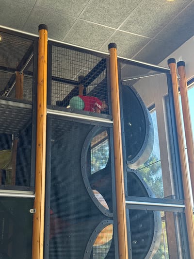 A low-angle shot captures the interior of a multi-level indoor playground structure, likely at a McDonald's PlayPlace in Placerville, California. The structure is composed of dark metal mesh panels supported by thick wooden posts. The ceiling, made of acoustic tiles, is visible at the top of the frame. A young child wearing a red shirt with white stripes is lying down within the mesh enclosure, partially obscured by a light teal ball. The child's head is resting on their arm, and their body is angled downwards. The playground features large, circular cutouts in the mesh panels, revealing glimpses of the outside through a window, where trees and sky are visible.