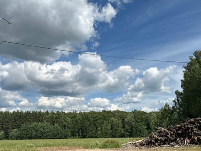 The image depicts an outdoor scene on a cloudy day. In the foreground, a large pile of logs is stacked on the right side of the frame. The logs appear to be rough-hewn and varied in size, suggesting they have been recently cut. To the left of the logs, a grassy field extends towards a dense line of trees that forms the horizon. The trees are predominantly evergreens, with a mix of deciduous trees interspersed. The sky above is a vibrant blue, with dramatic white and gray cumulus clouds scattered across it, indicating fair weather with a chance of rain. A single utility pole with a light fixture is visible on the far left, and a thin black wire stretches horizontally across the upper portion of the image, connecting to the pole. The overall impression is a rural landscape, possibly in a wooded area or a logging site, given the presence of the cut timber. The time of day appears to be daytime, with the sun not directly visible but illuminating the scene. No people are present in the image.