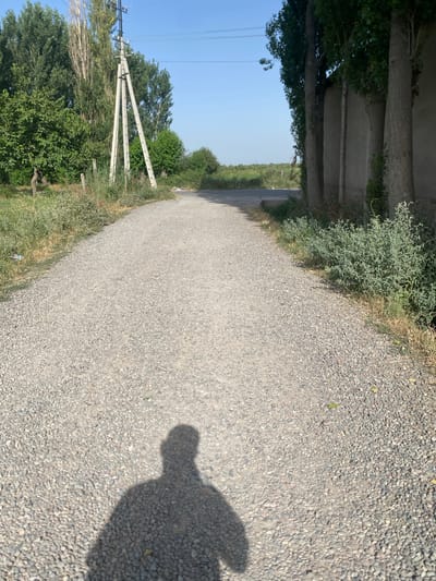 A gravel road extends into the distance, bordered by lush green vegetation and tall trees on both sides. A prominent electrical pole with guy wires stands to the left, while a concrete wall runs along the right side, partially obscured by trees. In the foreground, a shadow of a person is cast on the road. The sky is clear and blue, suggesting a bright, sunny day. The scene appears to be in a rural or semi-rural area, possibly on the outskirts of Боғистон, Tajikistan.