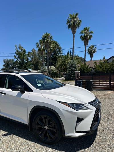 A white Lexus RX SUV is parked on a gravel driveway in front of a black metal fence and a modern house. The vehicle's front right side is prominent in the frame, showcasing its black alloy wheels and sharp body lines. Behind the fence, the house features a tile roof and is surrounded by lush green trees and tall palm trees. The sky is a clear, bright blue, indicating a sunny day. The scene is set in Citrus Heights, California, USA.