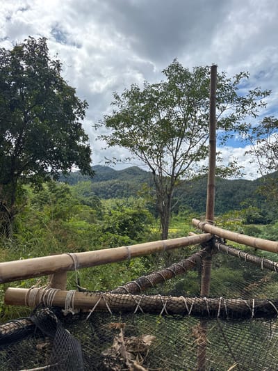 A dense, lush green forest climbs a steep mountainside under a cloudy sky. A rough, handmade fence of bamboo poles lashed together with cord runs alongside the viewer. Black netting is attached to some sections. Trees with green leaves fill the foreground, partially obscuring the vista.