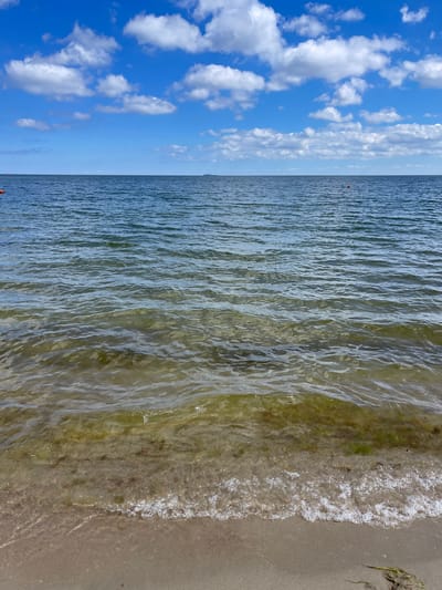 The image captures a serene coastal scene, divided horizontally into sky, sea, and shoreline. The composition is taken from a slightly elevated perspective looking down towards the water and beach.
The upper portion of the image features a bright, clear blue sky dotted with numerous fluffy white cumulus clouds of varying sizes. The sunlight appears strong, indicating a daytime setting, likely mid-morning or afternoon.
Below the sky, the vast expanse of the sea stretches horizontally. The water further out is a deep blue, textured with small ripples and waves that reflect the sunlight. A small, indistinct red object, possibly a buoy or marker, is visible far out in the blue water, creating a tiny point of color against the horizon. As the water approaches the shore, its color gradually transitions to a lighter, greenish-brown hue, suggesting shallower depth and possibly some sand or vegetation beneath the surface. The water surface closest to the shore shows more pronounced wave patterns and transparency, revealing the sandy bottom.
The lowest part of the image depicts the sandy shoreline where the water meets the land. Small, gentle waves break onto the sand, leaving behind a thin line of white foam. Some natural debris, possibly seaweed or small organic matter, is visible both in the shallow water and on the wet sand. The sand itself appears moist and light brown in color.
No people or man-made structures (apart from the distant red object) are visible, emphasizing the natural beauty and tranquility of the scene. There is no visible text in the image. The overall impression is one of a calm, sunny day at a beach in Pionersky, Russia.