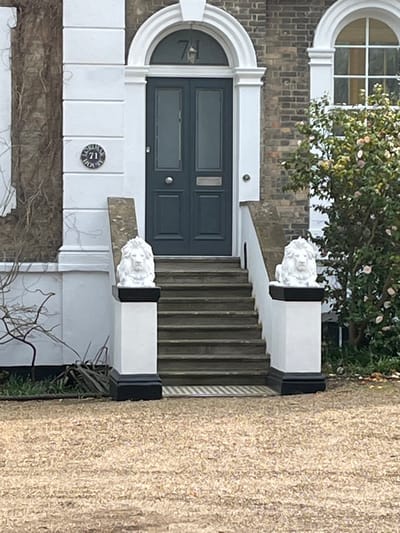 The image displays the front entrance of Clifton House, located at 71 Hersham Road, Walton-on-Thames, Elmbridge, United Kingdom. The central feature is a dark grey double-leaf door with two rectangular glazed panels per leaf, situated beneath a white arched pediment that bears the house number "71". To the left of the door, on a white pilaster, a circular black and white plaque identifies the property as "CLIFTON HOUSE 71". Five dark-colored steps ascend to the entrance. These steps are flanked by two white pedestals, each with a black base, topped by a white, forward-facing lion head bust statue. The building facade visible consists of brown brickwork interspersed with white painted architectural elements. To the right of the entrance, an arched window with white frames is present. Sparse bare branches are visible to the left of the steps, while a flowering shrub, consistent with a camellia, is positioned to the right. The ground in the immediate foreground is covered with light-colored gravel, and a metal drainage grate is visible at the base of the steps. No individuals are present, and no actions or interactions are occurring.
