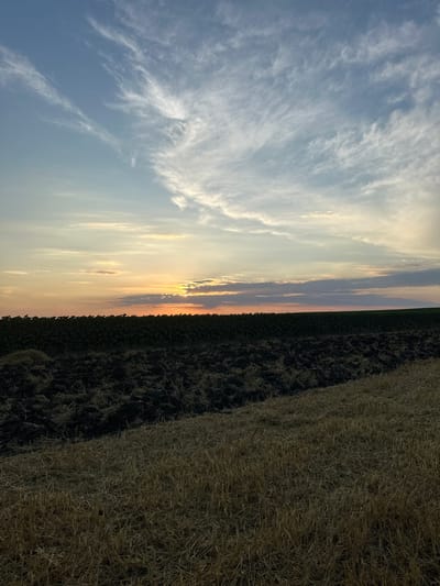 The image depicts a rural landscape at dusk, likely in Slivo Pole, Bulgaria. A vast, dark field, possibly recently plowed, occupies the foreground and midground, with scattered straw or dry grass. Beyond this field, a dense line of what appears to be sunflowers forms the horizon, their dark foliage silhouetted against the fading light. The sky above is a canvas of soft blues, oranges, and pinks, with wispy white clouds streaking across the expanse. The setting sun is partially obscured by a band of clouds near the horizon, casting a warm glow over the scene. No people or animals are visible in the image, and no structures are present. The overall impression is one of natural beauty and agricultural activity at the close of day.