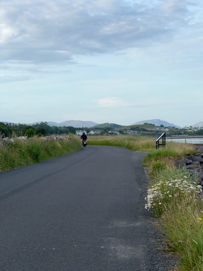 A motorcycle rider, facing away from the camera, travels down a paved road that curves to the right. The rider is wearing a dark jacket and helmet. The road is bordered on the left by a low, rough-hewn stone wall and tall green grass. On the right, the grass is also tall, interspersed with white wildflowers and yellow blooms. Beyond the grass, rocks and a dark metal structure resembling a partial fence or signpost are visible. In the background, a body of water is visible, with rolling green hills and scattered houses under a cloudy sky. The scene appears to be a rural area, possibly near the coast, with a natural landscape. The location is not explicitly identified as Terhillion, Ireland, in the image.
