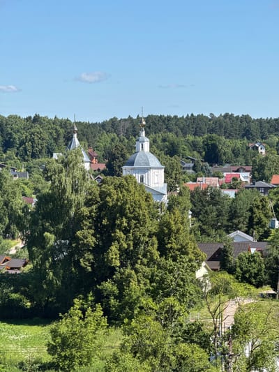 This is a high-angle, medium-shot photograph of a village nestled within a heavily wooded area, likely in Vereya, Russia. The scene is dominated by lush green trees of various sizes and types, with a dense forest forming the backdrop of the image. Several houses with red and brown tiled roofs are interspersed among the trees, indicating a residential area.
Two prominent white church buildings with gilded domes and tall spires rise above the treeline. The building on the left has a gray-blue domed roof, while the one on the right has a more traditional rounded dome. The architecture suggests they are Orthodox churches.
In the foreground, a grassy field with scattered white wildflowers slopes downwards. Several utility poles with wires are visible in the lower right portion of the image. The sky is clear blue with a few wispy clouds. There are no people visible in the scene. The overall impression is one of a peaceful, rural setting characterized by abundant nature and traditional architecture.