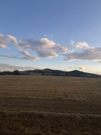 A wide shot captures a rural landscape in Naiden Gerovo, Bulgaria, under a bright blue sky dotted with fluffy white and pink clouds. In the foreground, a vast field of harvested wheat lies in neat rows, the straw a golden-brown color. The field stretches towards rolling hills covered in dark green trees and scattered buildings. The hills recede into the distance, forming a backdrop of undulating terrain. The scene is serene, with no people or animals visible, creating a sense of quietude and natural beauty.