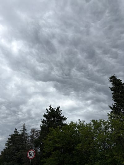 The image presents a skyward view of a heavily overcast day, dominated by dense, textured grey clouds that fill most of the frame. The cloud cover is thick and diffuse, suggesting a cloudy, possibly gloomy or rainy, weather condition. Along the right side and the bottom-right corner, various trees frame the sky. These include sections of dark green evergreen trees and lighter green deciduous foliage, with branches extending into the frame. In the bottom-right corner, partially obscured by tree branches, a white circular road sign with a red border is visible, displaying the number "60" in black, indicating a speed limit. No human activity is depicted. The scene captures a quiet daytime atmosphere in Danilovgrad, Montenegro, under a very cloudy sky.