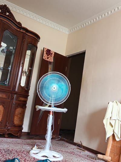 The image shows an interior scene, likely a living room in Nukus, Uzbekistan. Dominating the left side of the frame is a large, ornate, dark wood china cabinet with glass doors, reflecting the interior. In the center of the room stands a white pedestal fan with a bright blue fan head, wrapped partially in plastic. The fan is plugged into a wall socket. A dark brown door is slightly ajar in the background, revealing a dark interior space. The walls are painted a neutral beige, and the ceiling features decorative white molding. A patterned rug covers the floor. To the right, a wooden structure, possibly a shelf or frame, has a light-colored towel draped over it. The overall impression is of a domestic environment.