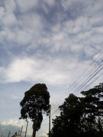 The image displays an outdoor scene in Nachu ward, Kenya, dominated by a cloudy sky, trees, and utility infrastructure. The upper two-thirds of the frame feature a sky with scattered white and light grey clouds against a pale blue background. In the lower half, a tall, densely foliated tree with dark green leaves is positioned in the left-center. Adjacent to it, a light-colored utility pole stands vertically. Multiple dark utility wires traverse the mid-ground diagonally from the upper right to the lower left, passing above and through the tree canopy. A cluster of trees with dark foliage occupies the right side of the lower frame. On the far lower-left, a partial view of a light-colored building with a dark roof structure is visible behind utility poles and sparse foliage. No individuals or explicit activities are depicted.