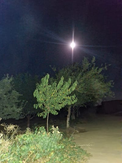 The image shows a night scene with a bright light source, likely the moon, in the upper center of the frame. Several trees are visible, with lush green foliage illuminated by the light. In the foreground, there is dense vegetation, including bushes and branches. The background is dark and indistinct, with a hint of a structure on the right side. The ground appears to be unpaved. The scene is likely an outdoor area, possibly a garden or a rural setting. The location provided, Ko`kdala, Uzbekistan, suggests a specific geographical context for this nocturnal landscape.