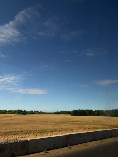 The image depicts a wide, golden field of ripe crops, likely wheat or barley, under a vast blue sky with scattered white clouds. A dense line of dark green trees forms the horizon in the distance, with a small white building partially visible amongst them. In the foreground, a concrete barrier separates the field from a dark, paved surface, possibly a road or path. The lighting suggests it is daytime, with the sun casting subtle shadows. The scene is located in the rural area of Гарбавіцкі сельскі Савет, Belarus, characterized by its agricultural landscape and natural vegetation. There are no people or animals visible in the frame.