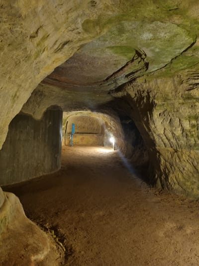 The image depicts the entrance to the Schlossberghöhlen (Castle Mountain Caves) in Homburg, Germany. The cave entrance is excavated into sandstone and is illuminated by a light further into the tunnel. Blue tubing is visible on the cave wall. Steps lead down into the cave system. The rock walls are covered in lichen and show signs of erosion.