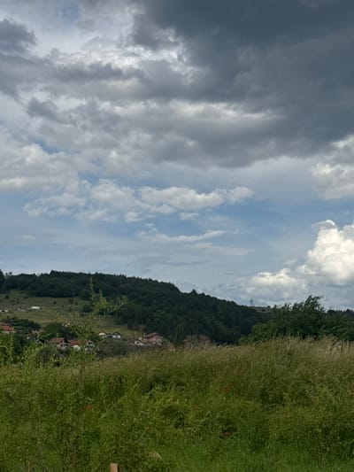 The image shows a rural landscape in the vicinity of Dragovishtitsa, Bulgaria. In the foreground, tall green grass and foliage dominate, with some red poppies visible. Behind the grassy expanse, a wooded hillside rises, topped with a dense forest. On the slopes of the hill, a scattering of houses and buildings can be seen, indicative of a small village or rural settlement. The sky above is overcast with dramatic, heavy clouds, suggesting a possibly stormy or changing weather condition. A power line pylon is visible on the crest of a distant hill. The overall scene depicts a tranquil yet somewhat moody natural environment.