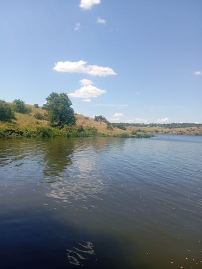 This media file captures a serene natural landscape on a clear day, likely in Buzke, Ukraine. The scene is dominated by a wide body of calm water in the foreground, reflecting the bright blue sky and scattered white clouds. The water's surface is gently rippled, with a few small, light-colored specks floating on it, possibly leaves or debris.

The middle ground features a sloping, grassy embankment covered in dry, golden grass and scattered green bushes and trees. A prominent, leafy tree stands on the higher part of the slope, casting a reflection on the water. The embankment appears to extend to the right, forming a natural shoreline.

In the background, the embankment continues, with more vegetation and rocky outcrops visible. Far in the distance, a small settlement with houses can be seen nestled on the horizon. The overall impression is one of a peaceful, rural setting bathed in the warm light of a sunny day. There is no discernible activity or event taking place; the image appears to be a static snapshot of the natural environment. No text is visible in the media file. The time of day is likely late morning or early afternoon, given the bright sunlight and clear sky. The weather appears to be pleasant and warm.