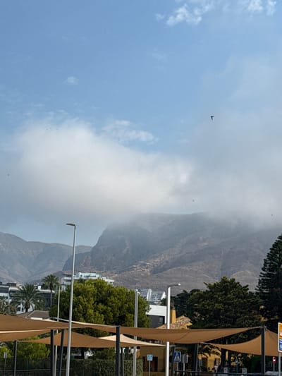 This image captures a scenic view of a mountain range partially obscured by clouds, set against a bright blue sky. In the foreground, a street scene unfolds with buildings, trees, and awnings providing shade. A street lamp is visible on the right side of the frame.
The subjects include the natural landscape of the mountains and sky, as well as man-made structures like buildings and street furniture. Several birds are seen in flight, adding a dynamic element to the sky. The activity is passive, capturing a moment in time rather than an event.
Notable details include the time of day appearing to be daytime due to the bright sky. The weather seems partly cloudy, with significant cloud cover near the mountains. The presence of palm trees and the architectural style of the buildings suggest a Mediterranean or similar climate. Location cues such as signs are present but are not clearly legible. There are no discernible emotions conveyed.
Visible text includes several street signs with pictograms indicating traffic rules or information, but the text itself is not readable.