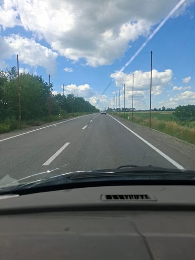 The image, taken from the interior of a vehicle, shows a straight, paved road with white lane markings, stretching into the distance. The road is lined on both sides by a series of evenly spaced, tall wooden poles, from which a thin, mesh-like netting is suspended high above. On the left side of the road, dense green trees form a continuous line. On the right, a field of green crops is visible, bordered by grass and more trees. The sky is blue with scattered white clouds, and a faint contrail is visible. A white car is seen in the distance on the road. The foreground shows the dashboard and windshield of the vehicle. The scene is likely a rural or semi-rural road in or near Dokuchaievske, Ukraine, possibly a protected area or a method of agricultural pest control.