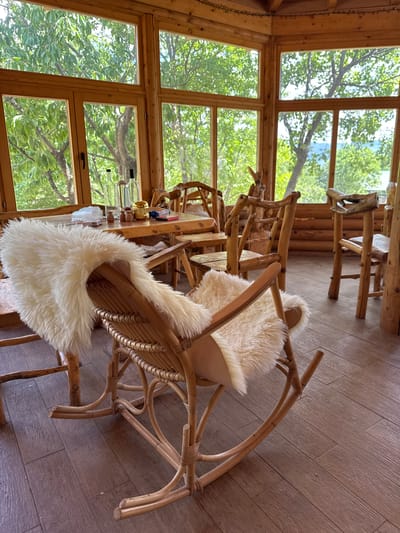 A room in Gornje Mrke, Montenegro, features a wooden table set with glassware and other items. The scene is bright, with natural light streaming in through the window. Several wooden chairs, some with white fur cushions, are arranged around the table. The room appears to be part of a wooden structure, with wooden floors and walls. The view from the window includes trees and foliage.