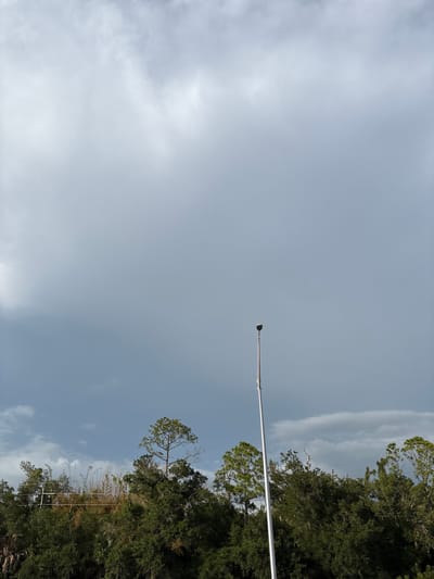 An outdoor, full shot captures a silver flagpole centrally located against a vast, overcast sky. The flagpole is tall and slender, with a light fixture at its apex. Below the sky, a dense line of green trees forms the horizon, interspersed with taller pine trees. The scene appears to be set in the city of Venice, United States, given the presence of typical Florida vegetation. The atmosphere is somber, suggested by the muted colors and the heavy cloud cover. There are no people or animals visible in the image.