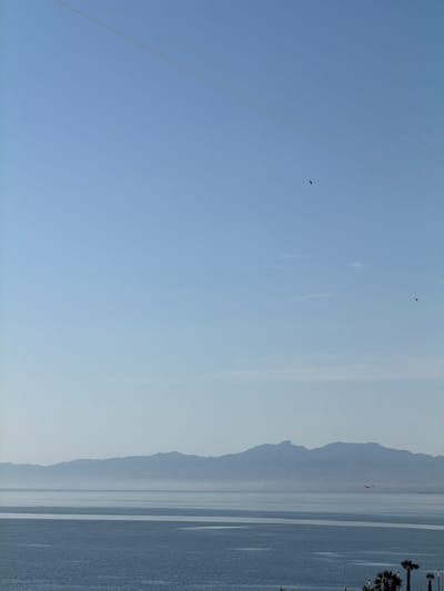 The image depicts a coastal scene in Nador, Morocco. The view is dominated by the sky, which transitions from a lighter blue near the horizon to a deeper hue higher up. Several thin, linear formations are visible in the sky, possibly contrails or atmospheric phenomena. Two birds are visible in the sky.
The horizon line features a mountainous landmass, appearing muted due to atmospheric haze. Below this is a body of water, with lighter reflections suggesting ripples or slight surface movement.
On the right edge of the image, there are palm trees lining the coast. These are indicative of a coastal cityscape, likely a promenade or beach area in Nador.
