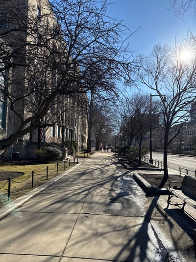 The image presents a forensic view of an urban sidewalk and street scene in Cambridge, United States of America, under a clear, bright blue sky with direct sunlight.
On the left, a multi-story building constructed from light-colored stone or concrete features numerous tall, rectangular windows with dark frames and vertical architectural elements, extending from the foreground into the background. A manicured grassy area with dormant winter grass, bordered by a low fence of black posts connected by chains, separates the building from a wide, multi-slab concrete sidewalk.
Numerous bare deciduous trees, stripped of leaves, are positioned along the sidewalk and street, casting long, stark shadows across the concrete and portions of the road. In the mid-ground, a group of four to five human figures is visible walking away from the viewer along the sidewalk, appearing as dark silhouettes against the sunlit path.
To the right of the sidewalk, a wide, empty asphalt-paved street runs parallel to the building. A black streetlamp pole is present between the sidewalk and the street. In the lower right foreground, a dark-colored park bench with decorative metalwork on its back and armrests is situated on a raised concrete planter area. Patches of white substance, consistent with melting snow or ice, are visible on the ground in shadowed areas adjacent to the street and around the bench. The sun is prominently featured as a bright flare in the upper right quadrant of the sky, indicating a low sun angle and casting distinct, elongated shadows across the entire scene.