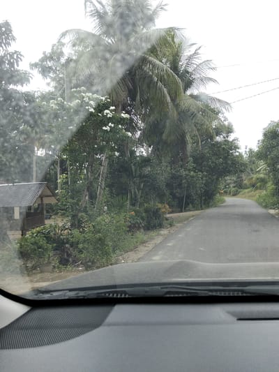 This media file depicts a view from inside a vehicle looking out at a rural road in Blang Mee, Indonesia. The scene is dominated by lush, tropical vegetation, including tall palm trees and dense greenery. A narrow, asphalt road curves through the landscape, disappearing into the distance. To the left of the road, a small, open-sided structure with a corrugated metal roof is visible, possibly a shelter or a small dwelling. White flowers are scattered among the trees, adding touches of color to the otherwise green and grey palette. The sky is overcast, suggesting a cloudy or possibly rainy day. The image appears to have been taken during daylight hours. The perspective suggests the photo was taken while the vehicle was in motion, as indicated by the slight blur and the view over the dashboard. No people are visible in the frame. The overall atmosphere is serene and suggests a quiet, undeveloped area.