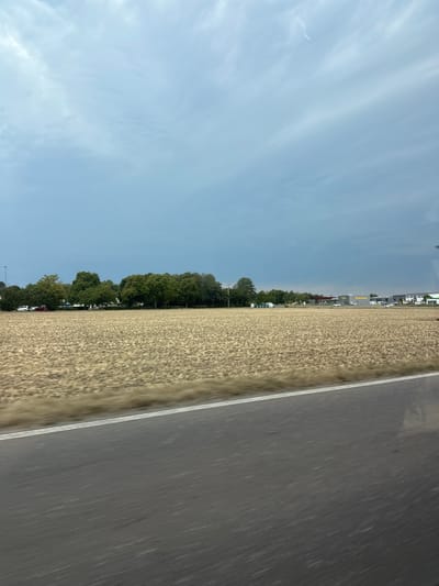 An overcast, cloudy sky looms over a rural scene. In the foreground, a blurred grey asphalt road with a white line runs diagonally from the bottom right to the upper left. Beyond the road is a vast, dry, beige-colored field, likely harvested wheat or barley, with a blurred texture due to motion.
Further in the background, a line of lush green trees separates the field from a cluster of buildings. On the left side of the treeline, several cars are parked, including a white van and a red car. In the center and to the right, industrial or commercial buildings are visible. One building has a prominent yellow sign that reads "Eckstein." Several white cars are parked in front of these buildings. The overall impression is a view from a moving vehicle traveling along a road adjacent to agricultural land and commercial properties in Weiher, Germany.