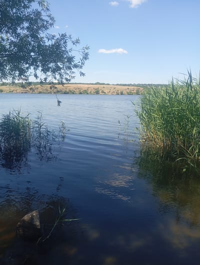 The image depicts a serene natural scene by a body of water, likely a river or lake, under a clear blue sky with scattered clouds. In the foreground, the dark water is visible, with a large rock partially submerged on the left side. Reeds and aquatic plants grow along the edges of the water. On the left side of the frame, tree branches with green leaves overhang the water, casting shadows. The background shows a gently sloping embankment covered in dry grass and sparse vegetation, with a line of trees in the distance. The overall impression is one of tranquility and natural beauty. The location is identified as Buzke, Ukraine.