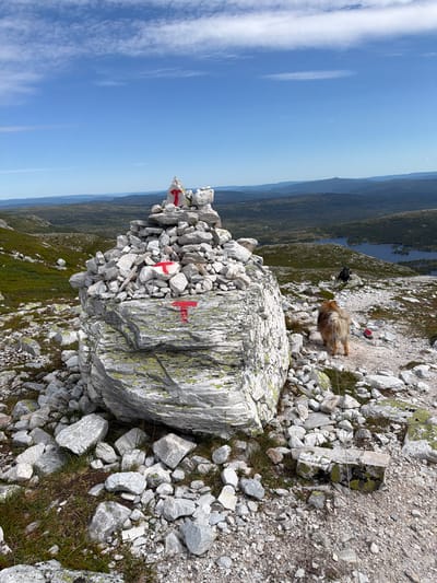 The image captures a panoramic view of a mountainous landscape in Ormemyr, Norway. In the foreground, a large cairn, constructed from numerous grey stones, is prominently displayed. Several of these stones are marked with bright red "T" symbols, indicating a hiking trail. A large, moss-covered boulder is integrated into the base of the cairn.
To the right of the cairn, a golden-furred dog, on a leash, walks on a gravel path. Further in the background, another person is visible, also seemingly on a trail, with a smaller white dog accompanying them. The landscape beyond features rolling hills covered in dark green vegetation and scattered trees, interspersed with several blue lakes. The sky is a vibrant blue, with scattered white clouds. The overall scene depicts a serene and natural environment, typical of a hiking destination in Norway.