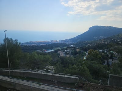 The image displays an elevated panoramic view from Beausoleil, France, looking southeast towards the Mediterranean Sea and the Principality of Monaco. In the immediate foreground, two parallel concrete retaining walls, each topped with a two-bar metal guardrail, are visible. The lower wall secures an unpaved area containing sparse vegetation and small rocks. A slender, dark grey pole, possibly a utility pole or antenna, featuring a small, cross-shaped top, rises vertically from below the lower wall on the left. A chain-link fence is visible to the right of the lower wall.
The midground consists of densely forested hillsides descending towards the coast. Interspersed within these green areas are numerous residential buildings with light-colored, often red-tiled roofs, and winding roads. A large sports complex, identifiable by multiple tennis courts and a wide green field, is situated within this landscape.
The background features the urban expanse of Monaco, characterized by numerous multi-story buildings along the coastline. Several tall construction cranes are observable within this developed area. Beyond the city, the light blue waters of the Mediterranean Sea stretch to the horizon. To the far right, a prominent, dark green mountain or large hill, with scattered structures on its slopes, dominates the profile. The sky is light blue with scattered white cumulus clouds, particularly concentrated above the right side of the frame. No individuals are present in the scene.