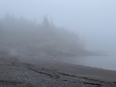 The image shows a foggy, overcast day at a rocky beach on Campobello Island, Campobello Parish, Canada. The foreground is a dark, pebbly beach with some seaweed. The middle ground features a dark, rocky shoreline extending into the water. A dense line of evergreen trees, obscured by thick fog, forms the background along the coast. The water is calm and indistinct due to the fog. No people or animals are visible. The overall impression is one of isolation and atmospheric gloom.