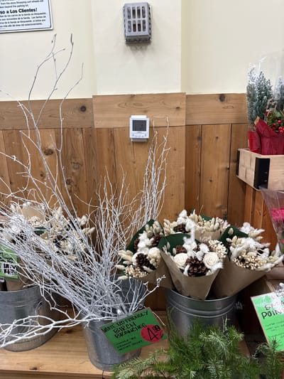 A retail display features arrangements of dried floral bouquets in paper wraps and metal buckets. Cones and wood shavings form part of the bouquet compositions. Adjacent to these are tall, white birch branches also displayed in metal buckets. Prominently displayed price tags advertise the "white, eco-friendly birch branches" for $4.99 and indicate them for “holiday decor.” A sign warns about shopping cart wheels being locked if taken beyond the parking lot, and informs customers in Spanish. The display is positioned against a wooden wall.