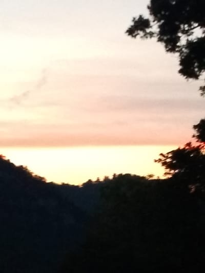 This image depicts a serene landscape at dusk, with the sky transitioning through hues of soft pink, orange, and pale yellow. A thin, horizontal band of brighter yellow suggests the sun has just set or is about to rise. Silhouetted against this vibrant sky are dark, undulating hills and the jagged outlines of trees. The foreground is dominated by the deep shadows of foliage, obscuring most of the ground. The overall impression is one of quiet beauty and natural tranquility. This scene is located in Valle Castellana, Italy.