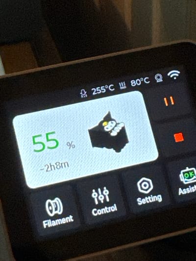 The image displays a close-up of a 3D printer's control panel screen. The screen shows several elements:
* **Temperature Readings:** At the top, there are temperature indicators showing "255°C" and "80°C". A small icon that resembles a heating element is present next to "255°C".
* **Print Progress:** A large white panel occupies the central area. It displays "55 %" in green text, indicating print completion percentage. Below this, "-2h8m" suggests an estimated remaining time of 2 hours and 8 minutes.
* **Print Icon:** Within the white panel, there's a small, black, cartoon-like icon of a creature, possibly a cat, with yellow eyes and white details on its face and body.
* **Control Icons:** Along the bottom of the screen, there are several icons with labels:
* "Filament" with a spool icon.
* "Control" with an icon resembling gears or controls.
* "Setting" with a hexagonal icon.
* "Assist" with an "OK" symbol inside a box.
* **Status Indicators:** To the right of the main display, there are two small colored rectangles, one orange and one red. Further to the right, there are pause buttons (two vertical orange lines) and a Wi-Fi symbol.
The image does not provide any information about the city of Белоус, Russia, or any environmental context beyond the 3D printer's screen.