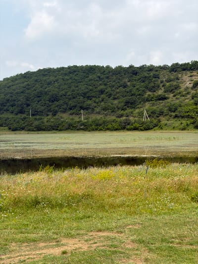 The image depicts a natural landscape, likely a lake or marsh, with a wooded hillside in the background. In the foreground, there is a grassy area with scattered wildflowers and a dirt path. The middle ground features a body of water covered with aquatic vegetation, and the background is dominated by a dense green forest covering a gently sloping hill. The sky above is partly cloudy. There are no people or animals visible in the scene. The overall impression is one of a serene, rural environment.
