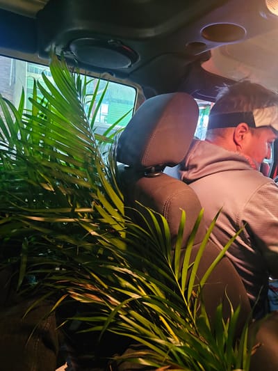 The image shows the interior of a vehicle, possibly in transit in the city of Magdalena del Mar, Peru. The perspective suggests it was taken from the back seat. A light-skinned person with short grey hair, wearing a light-colored shirt, is bent over towards the front of the vehicle. Part of the vehicle door, complete with a speaker grille and various circular indentations, is visible. The window is reflecting a green outdoor scene. A large palm frond partially obscures the view. A headrest from the vehicle's seating is visible next to the person.