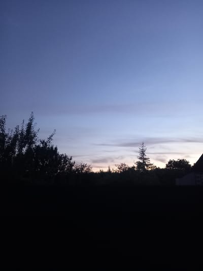 A wide-angle, low-light, outdoor photograph taken at dusk in Vatutine, Ukraine. The sky dominates the upper two-thirds of the frame, transitioning from a deep blue at the top to lighter shades of blue and purple with faint, wispy clouds towards the horizon. The lower third of the image is a dark silhouette of trees and foliage, with the faint outline of a roofline of a building visible on the right side. The foreground is entirely black, obscuring any ground details. The overall scene is dark and serene, capturing the fading light of day.