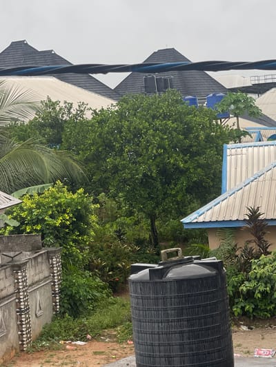 The image shows an outdoor scene in what appears to be a residential area of Abraka, Nigeria. A large, black plastic water storage tank is prominently visible in the foreground on the right side of the frame. It's situated beside a dirt path or road. Lush green vegetation, including various trees, shrubs, and grasses, fills much of the middle ground. A section of a low concrete wall, adorned with decorative white markings, is visible near the bottom edge of the frame, on the right side.
In the background, multiple buildings with dark gray pitched roofs are visible. The roofs have a distinct triangular shape, characteristic of local architecture. A white metal roof with a blue trim is also discernible. A dark, thick cable runs diagonally across the left side of the image, partially obscuring the buildings. The overall impression is one of a humid, densely vegetated environment with clear signs of residential development. The sky is overcast and the light is diffused.