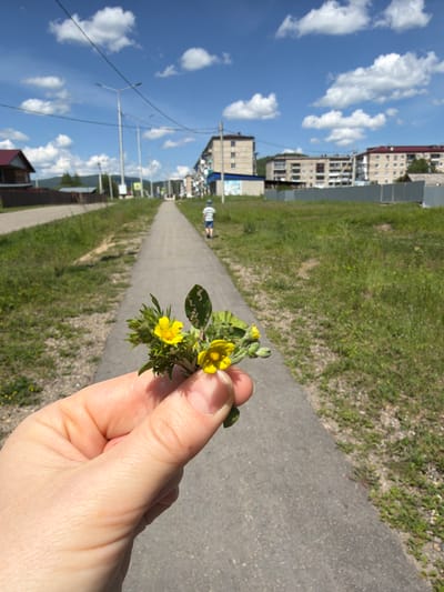 A close-up shot of a hand holding a small cluster of wildflowers with yellow blossoms. In the background, a paved pathway stretches into the distance, bordered by green grass and trees. Beyond the pathway, apartment buildings and a few houses are visible, characteristic of the city of Kul'dur, Russia. The sky is blue with scattered white clouds, suggesting a sunny day. A child in a striped shirt walks away from the camera on the pathway. The scene appears to be an outdoor public space, possibly a park or residential area.