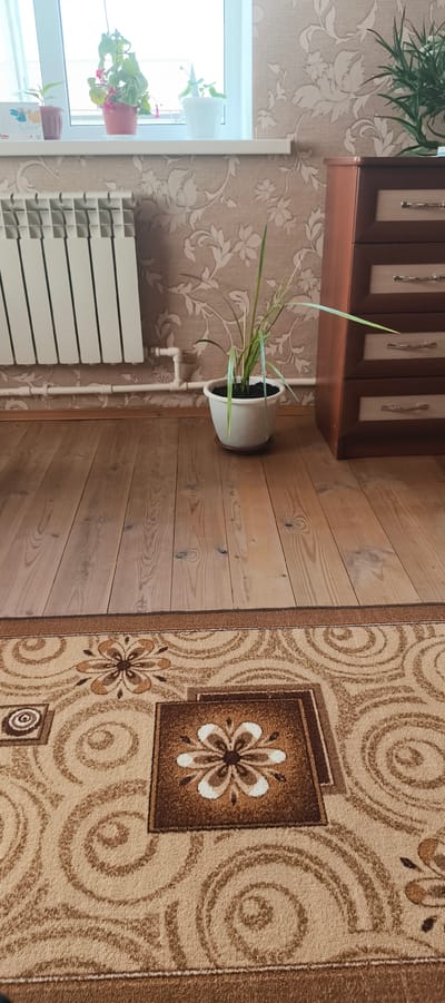 The image depicts an interior scene, likely a room in a residential building in Staroye Baysarovo, Russia. The foreground is dominated by a light brown carpet with a repeating pattern of floral motifs and swirling designs in shades of brown and beige. To the left and center of the image, a wooden floor with visible grain patterns is shown. In the middle ground, a white radiator runs horizontally along the wall. Next to the radiator, a white pot with a green plant is placed on a brown saucer. The wall behind the radiator and plant is covered in beige wallpaper with a floral pattern. A wooden dresser with three drawers, featuring lighter colored drawer fronts and metallic handles, stands to the right of the plant. Above the radiator, a windowsill with several potted plants is visible, situated against a bright window. The overall impression is of a lived-in domestic space.