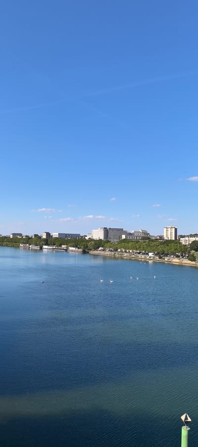 The image depicts a wide blue river, likely the Seine River, with a treelined embankment and a cityscape in the background. Several white swans are visible swimming in the river, scattered across the surface. On the embankment, there are numerous trees, with buildings and some houseboats docked along the shore. The cityscape includes a mix of modern and older buildings, including a large, white, multi-story structure. The sky above is a clear, bright blue with a few faint white clouds. A green buoy with a triangular marker is visible in the lower right corner of the image. The scene suggests a calm, urban waterfront environment. This scene is located in Villeneuve-le-Roi, France.