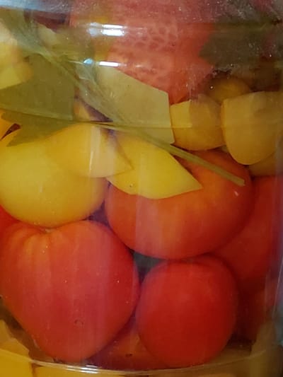 This media file captures a close-up view of a transparent plastic container filled with various vegetables. The primary subjects are chunks of red tomatoes and yellow bell peppers, mixed with what appear to be green herbs or perhaps green beans. The vegetables are submerged in a clear liquid, likely a brine or dressing, indicating they are preserved or prepared for consumption.

The lighting suggests an indoor setting, possibly a kitchen or pantry, with reflections on the plastic container indicating artificial light sources. There are no people visible in the frame, and the activity depicted is static – the contents of the container. Notable details include the vibrant colors of the vegetables and the visible texture of the tomatoes, suggesting they are ripe. The smooth, rounded shapes of the tomatoes contrast with the flatter, angular pieces of the yellow peppers.

No text is visible within the image. The context provided, "Старотавларово, Russia," suggests the location where this image was taken, but there are no visual cues within the image itself that confirm this specific location. The overall impression is one of fresh ingredients preserved for later use.
