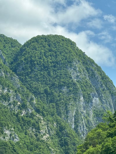 The image displays a vast, verdant mountain landscape under a partially cloudy sky. The mountain slopes are densely covered in lush green trees, with rugged rock formations visible in places. The sky is a mix of blue and white clouds, suggesting fair weather. There are no people or man-made structures evident in the scene, indicating a natural, undeveloped environment. The location is identified as a mountain in Monastyr, Russia.