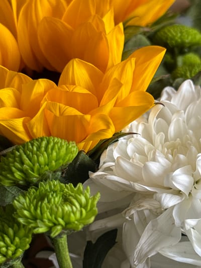 This is a close-up, eye-level, indoor photograph of a floral arrangement. The arrangement features a cluster of bright yellow sunflower petals dominating the left and upper portions of the frame. To the right, a large white chrysanthemum with delicate, layered petals is visible, some of which appear slightly wilted. In the lower left and mid-left, several small, spherical green flowers, possibly spray chrysanthemums, are interspersed with the larger blooms. The background is dark and blurred, with hints of green foliage. The lighting is soft and natural, highlighting the textures of the petals. There are no people or animals present in the image, and the scene does not depict any recognizable landmarks or activities specific to Novopokrovka, Kyrgyzstan.
