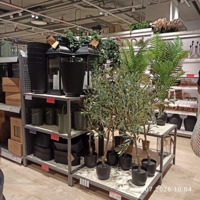 The image shows a retail display of home decor and plants inside a store. In the foreground, several potted artificial olive trees and palm trees are arranged on metal shelving units. To the left, black ribbed planters are stacked. Further back, there are more planters, lanterns, and various home decor items on shelves. The store appears to be a large chain retailer with overhead lighting and exposed ceiling infrastructure. The floor is made of light-colored wood-look laminate. A price tag for "PRETTO BASSO SEMPRE" with a price of "32,50€" is visible at the bottom right. Another price tag shows "21,50€". A date and time stamp, "24.07.2026 10:04", is overlaid on the bottom of the image. The scene is indoors in a commercial setting, likely a furniture or home goods store.