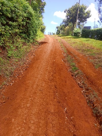 The image displays an unpaved, reddish-brown dirt road ascending a gentle incline in Kiangochi, Kenya. The road surface exhibits tire tracks and minor cracking, consistent with dry earth. Lush green vegetation, including dense bushes and trees, borders the road. On the left, a steep embankment is heavily vegetated. On the right, a grassy slope with scattered shrubs and larger trees is visible, with a wooden utility pole positioned further up. In the upper right background, a dark, angular object, possibly a roofline, is discernible behind a green hedge. The sky above is clear blue with several white clouds. No individuals, animals, or vehicles are present. The scene is illuminated by natural daylight.