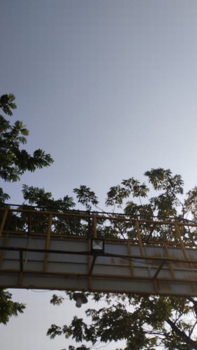 The image shows a view looking up towards a bright, clear sky. In the foreground, there is a structure that appears to be a walkway or bridge, with yellow metal supports. Behind and above this structure, lush green trees with dense foliage are visible, their branches reaching towards the sky. The leaves of the trees are a vibrant green, suggesting a healthy, natural environment. The overall impression is one of an outdoor scene, possibly in a park or an area with significant greenery, beneath a clear sky. No people or specific identifiable landmarks are present in the image. The location is identified as Trosobo, Indonesia.