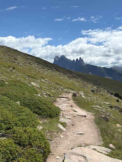The image depicts a mountain trail in the Dolomites, likely in the vicinity of Urtijëi - St. Ulrich in Gröden - Ortisei, Italy, given the distinctive jagged peaks in the background. The trail is made of dirt and stones and winds its way up a grassy, rocky slope. Several hikers are visible on the trail, walking in groups. The landscape is characterized by steep inclines, low-lying green shrubbery, scattered rocks, and patches of grass with small yellow flowers. In the distance, dramatic mountain formations with sharp, pointed peaks dominate the horizon under a partly cloudy blue sky. The overall impression is one of a scenic mountain hike.