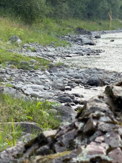 The image depicts a natural landscape at the edge of a body of water, likely a river or lake, in Anos, Russia. The foreground is dominated by large, gray, weathered rocks, with some of them out of focus, creating a sense of depth. Interspersed between the rocks are patches of green grass and vegetation, some of which appear wet. The middle ground consists of a densely packed field of smaller, smooth, gray stones, also dotted with grass. The water's edge is lined with these stones, and the water itself is characterized by shimmering reflections from the sunlight. Further back, the terrain rises into a grassy bank leading to a dense growth of green trees and foliage, forming a thick, wooded backdrop. There are no people or animals visible in the scene. The overall impression is one of a rugged, natural riverside environment.